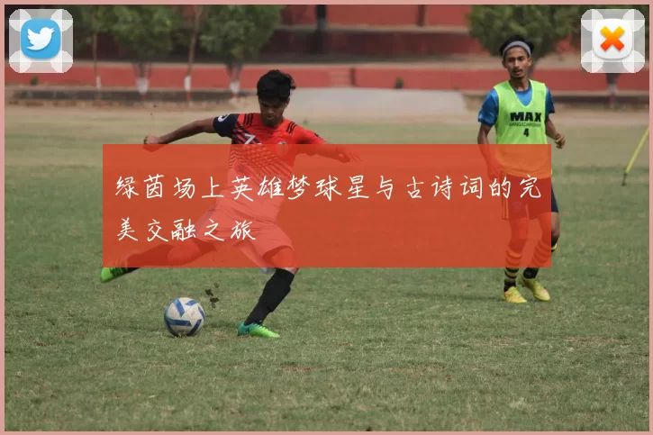 绿茵场上英雄梦球星与古诗词的完美交融之旅