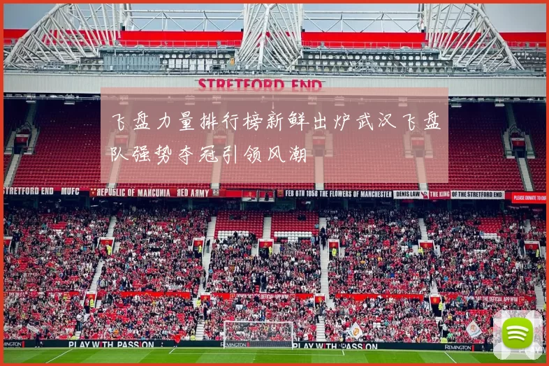 飞盘力量排行榜新鲜出炉武汉飞盘队强势夺冠引领风潮