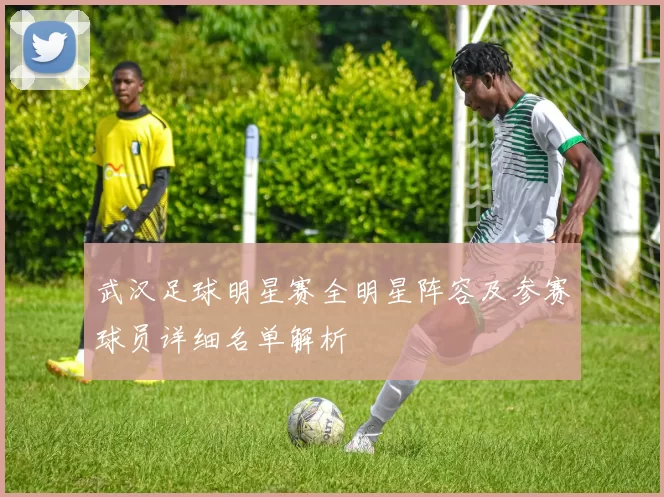 武汉足球明星赛全明星阵容及参赛球员详细名单解析