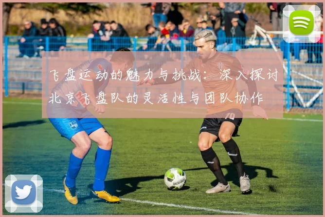 飞盘运动的魅力与挑战：深入探讨北京飞盘队的灵活性与团队协作
