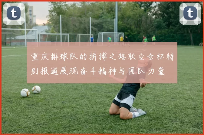 重庆排球队的拼搏之路联合会杯特别报道展现奋斗精神与团队力量
