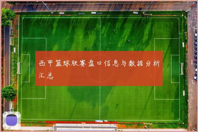 西甲篮球联赛盘口信息与数据分析汇总