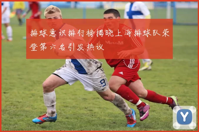 排球意识排行榜揭晓上海排球队荣登第六名引发热议