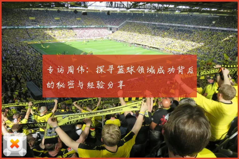 专访周伟：探寻篮球领域成功背后的秘密与经验分享