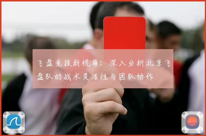 飞盘竞技新视角：深入分析北京飞盘队的战术灵活性与团队协作