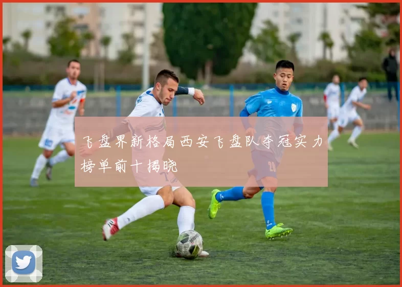 飞盘界新格局西安飞盘队夺冠实力榜单前十揭晓